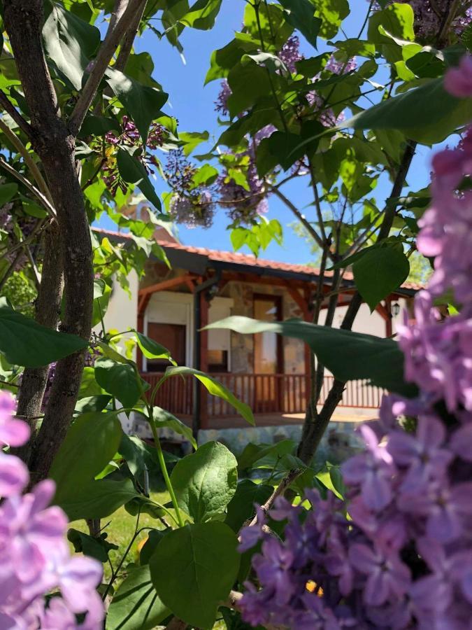 Karali Apartments Lagadin Εξωτερικό φωτογραφία